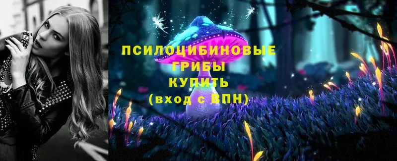 Галлюциногенные грибы Magic Shrooms  наркотики  Коломна 